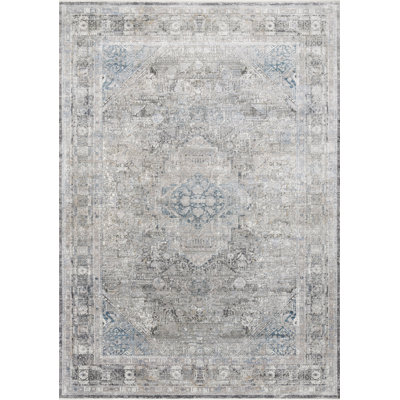 Robledo Performance Oriental Indoor Rug