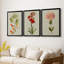 Botanical Array VI  -Custom Framed  Wrapped Gallery Canvas - 3 Pieces-916200992-916200998