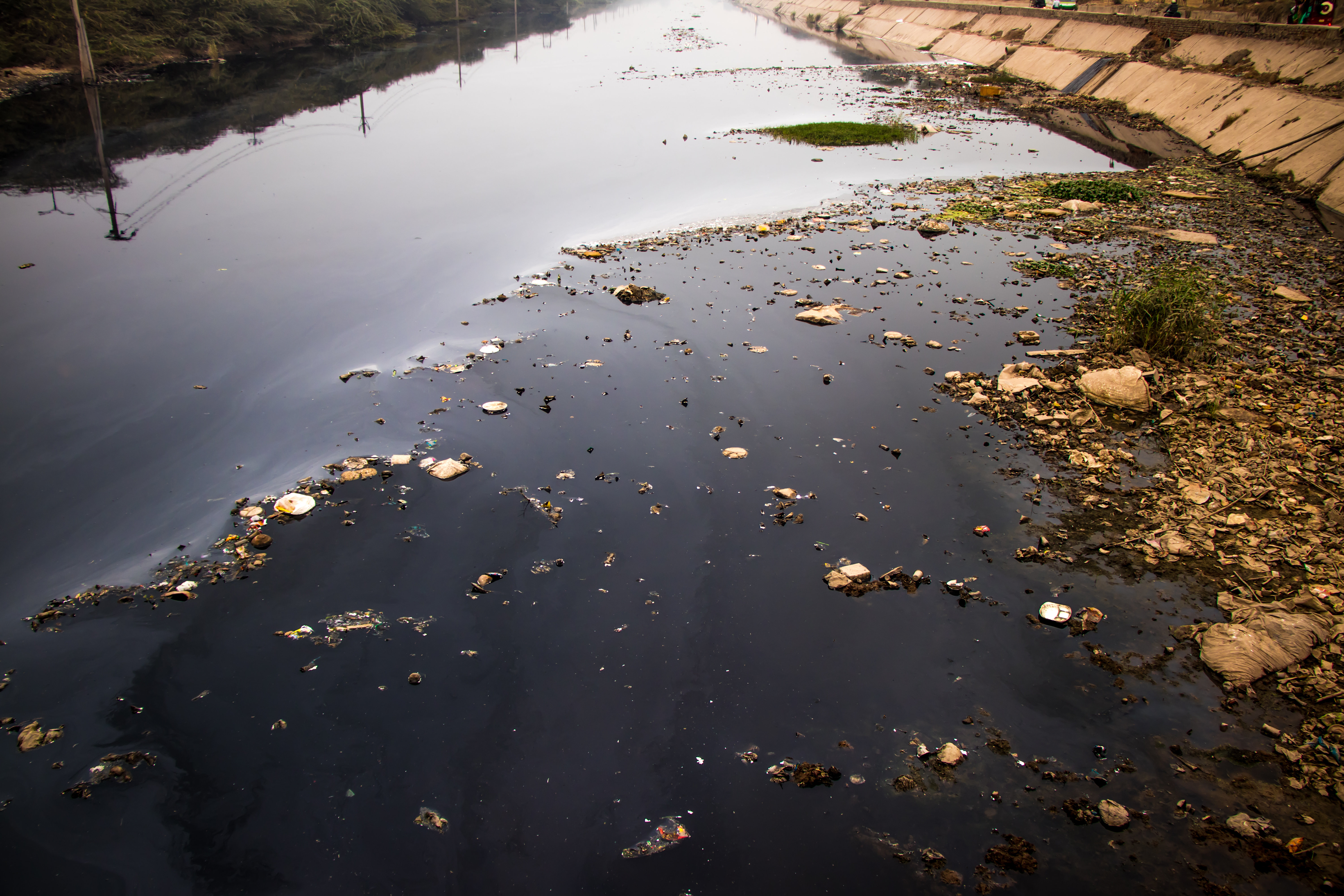 Latitude Run Gennoveva Polluted River Water - Wrapped Canvas Photograph ...