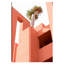 «Architectural Study II», impression sur toile tendue