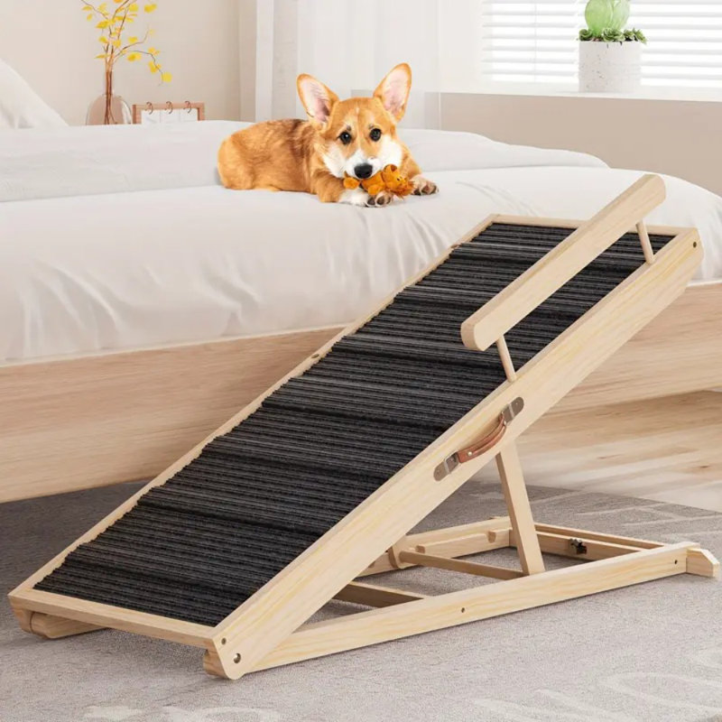 Rampe pour chien Potable