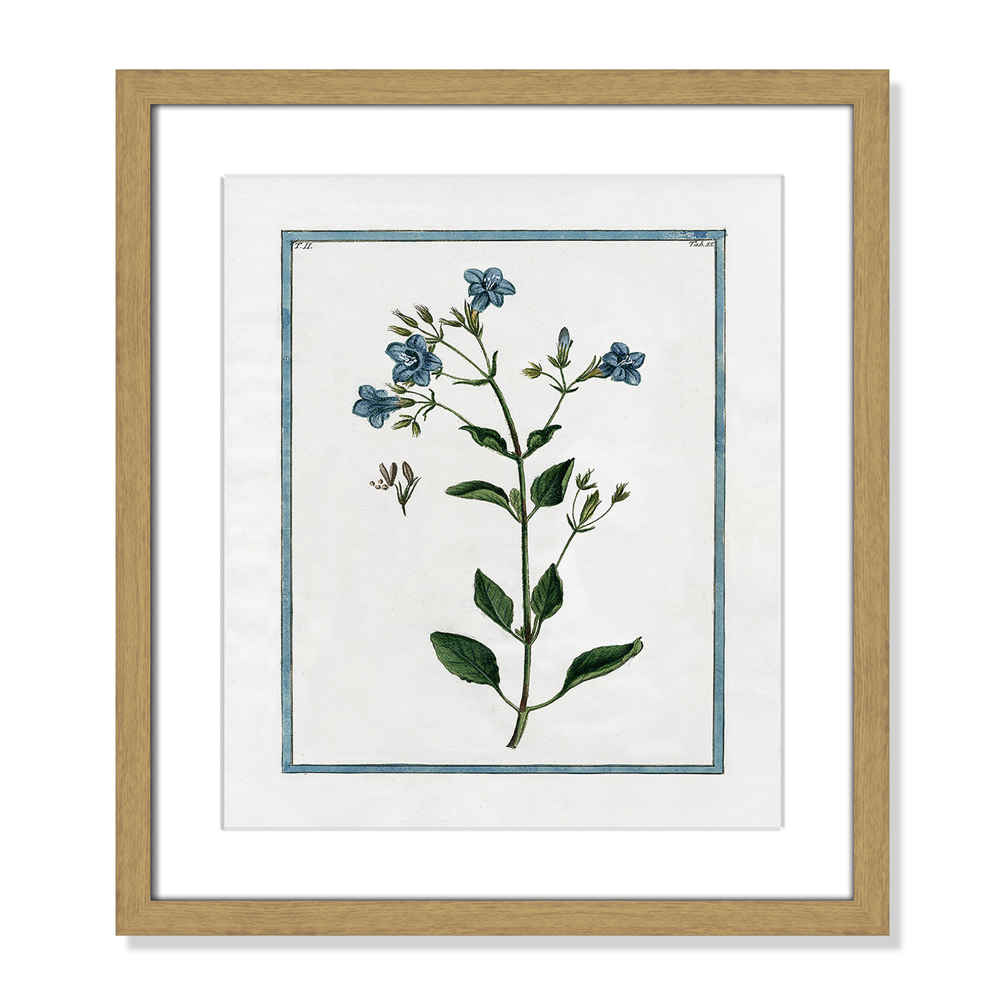 Shabby Elegance Botanical II - Framed Art, 13" W x 15" H, Natural Framed
