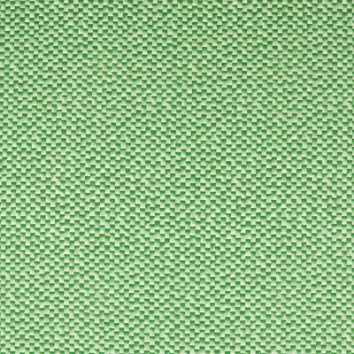 Skiva Fabric