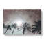 Palm Trees In The Evening - Wrapped Canvas Print-56640983