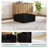 Modern Plush-upholstered Accent Sofa