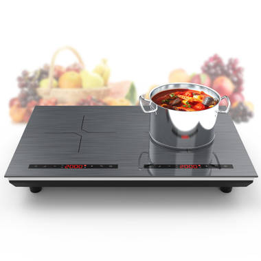 Kenyon 21 2-Burner Arctic Electric Cooktop with Knob Control – Grill  Collection