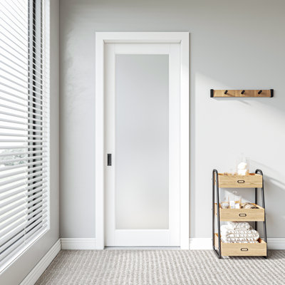Glass Frosted Pocket Door with Hardware Kit and Door Frame