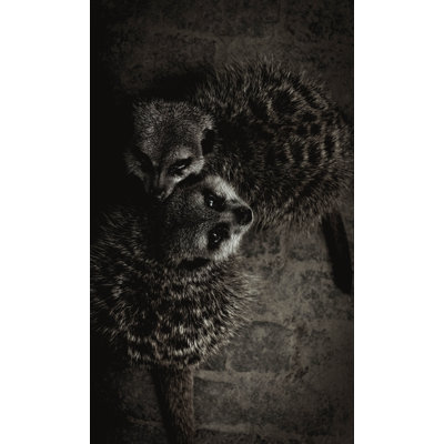 Wildlife 003 1 Piece Wall Art