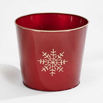 Monango Galvanized Metal Planter