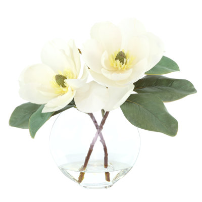 Magnolias Arranged in a Glass Moon Vase