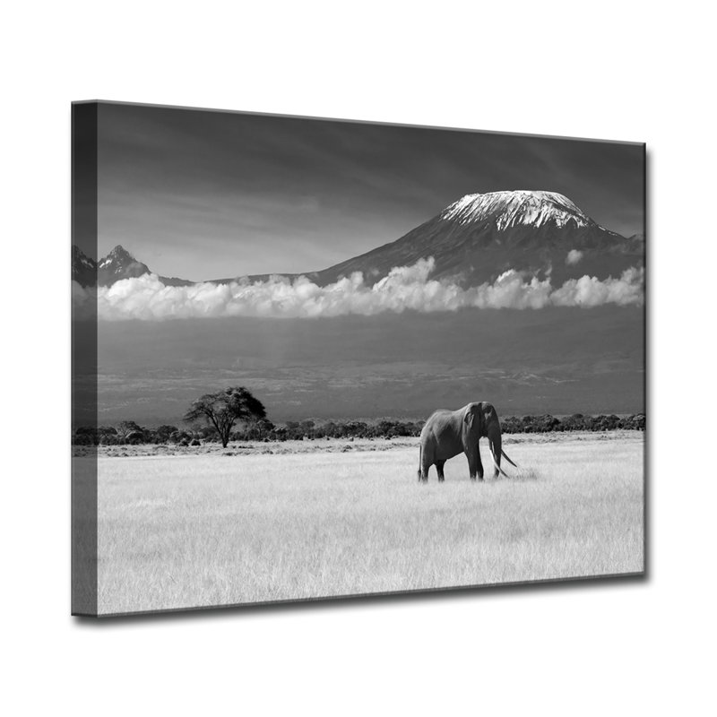 « lost colors ii », reproduction de photo sur toile, H 12 po x l 16 po x P 1,5 po