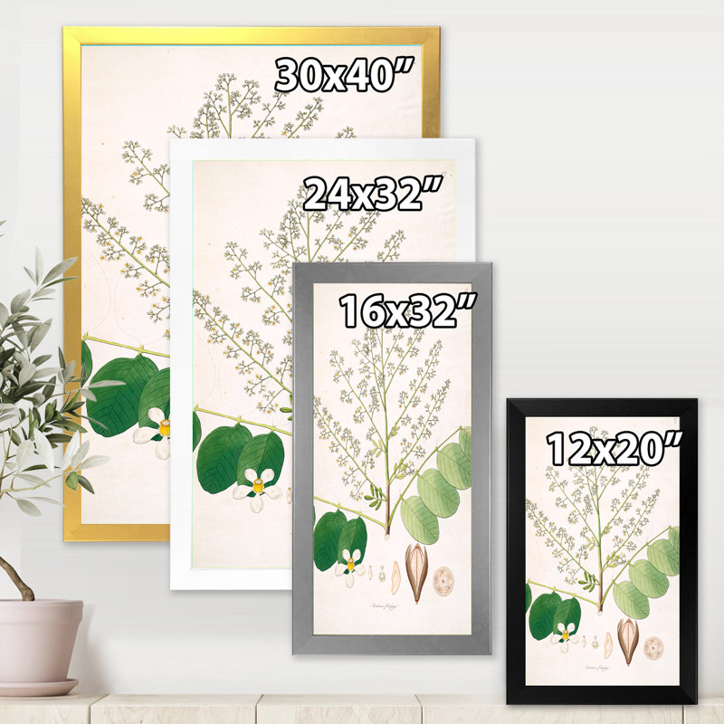 Botanique rétro - peinture sur toile, Cadre photo blanc, H 32 po x l 24 po x P 1 po
