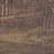 Vintage Oak