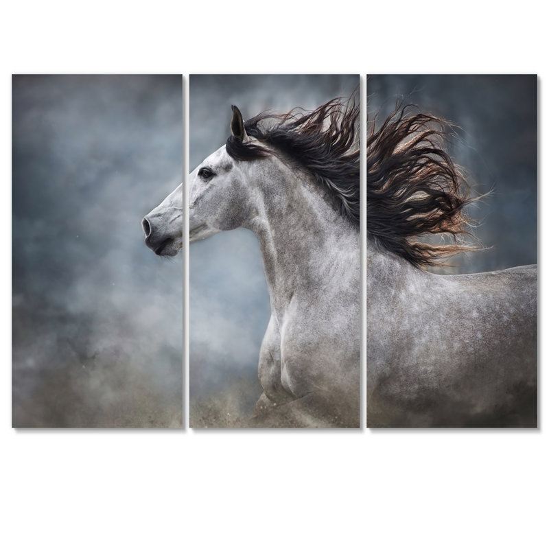Portrait d'un cheval blanc galopant II - reproduction d'art sur toile traditionnelle, H 28 po x l 36 po x P 1 po