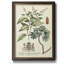 Imperial Foliage IV - Peinture sur toile encadrée-437255293