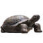 Statue de jardin tortue à finition bronze, sculpture en oxyde de magnésium résistant aux intempéries