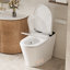 BirchLn Smart Toilet with Muti Wash Modes, Auto Open & Close, U-Shaped Heated Seat, Auto/Kick Flush, Night Light