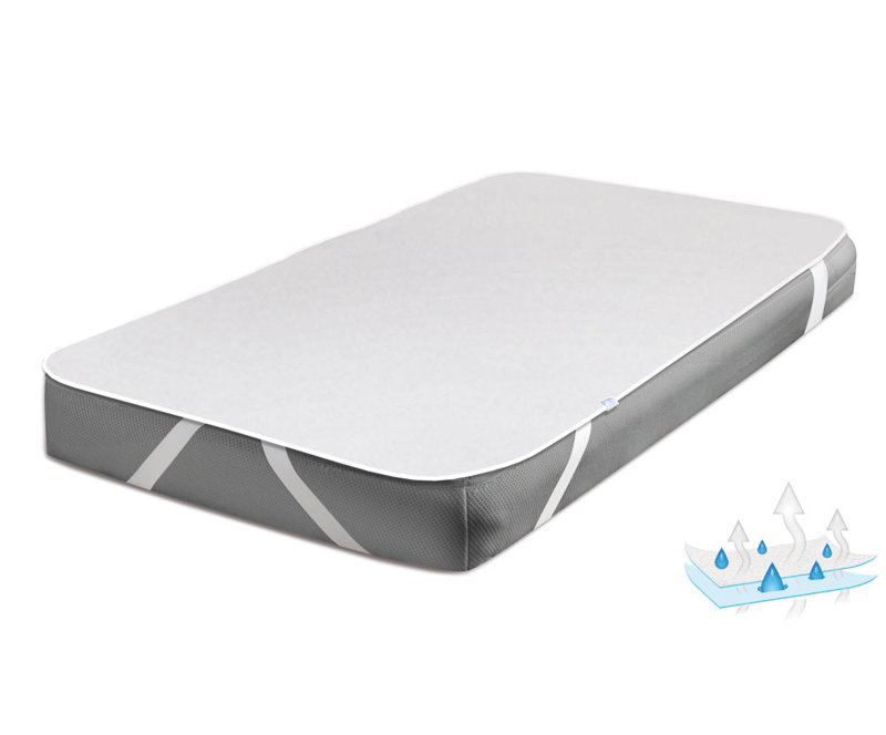 Symple Stuff Mattress Protector Mattress