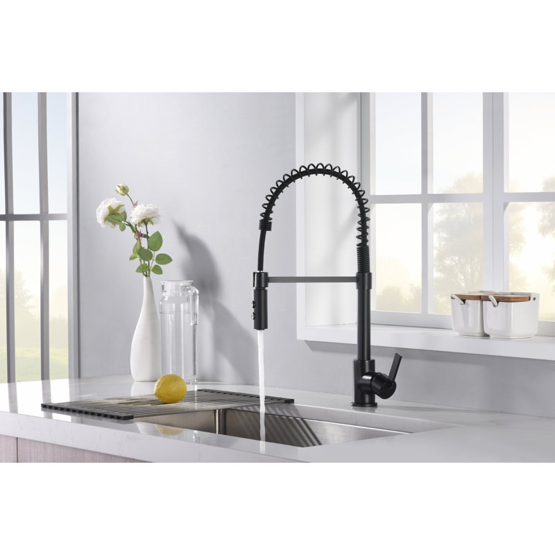 Euro Collection High-Arc Single Handle Kitchen/Bar Faucet with 2-Function Pull-Down Spring Spout Sprayer - Matte Black