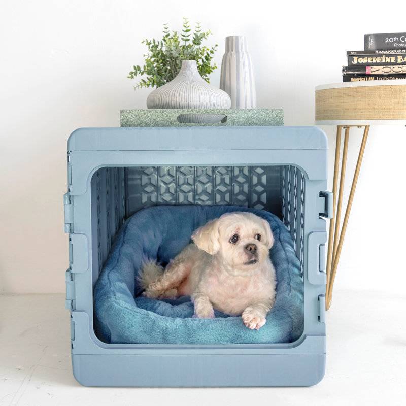 PAWD® | Modern Dog & Pet Crate - Caisse pliable pour chiens, Petit (H 16 po x l 16 po x L 21 po), Bleu