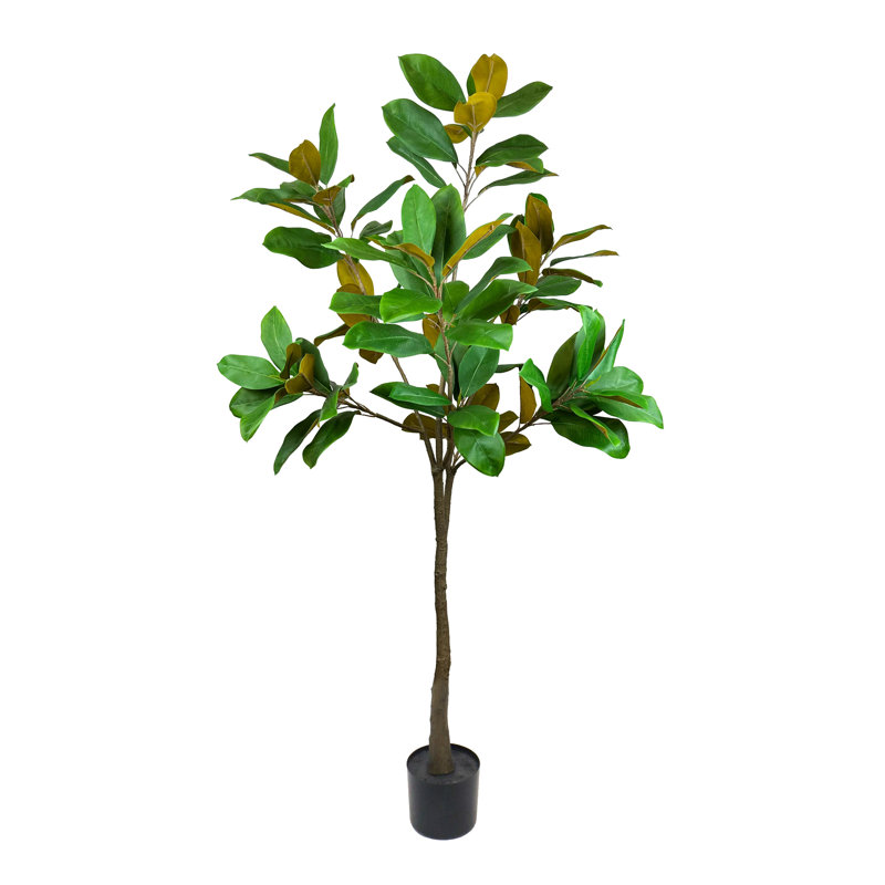 UV Rated 5' Magnolia Tree Drop-In with Fiberstone Planter