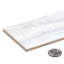 Splendor 3 po x 10 po Carrelage mural en porcelaine brillante Subway-93067494