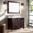 Vanity Wall Sconce