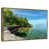 Floating Frame Gold
