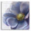 Art contemporain en verre «Contemporary Anemone» par Danhui Nai-1456212324