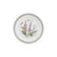 Portmeirion, Botanic Garden - Dinner Plates