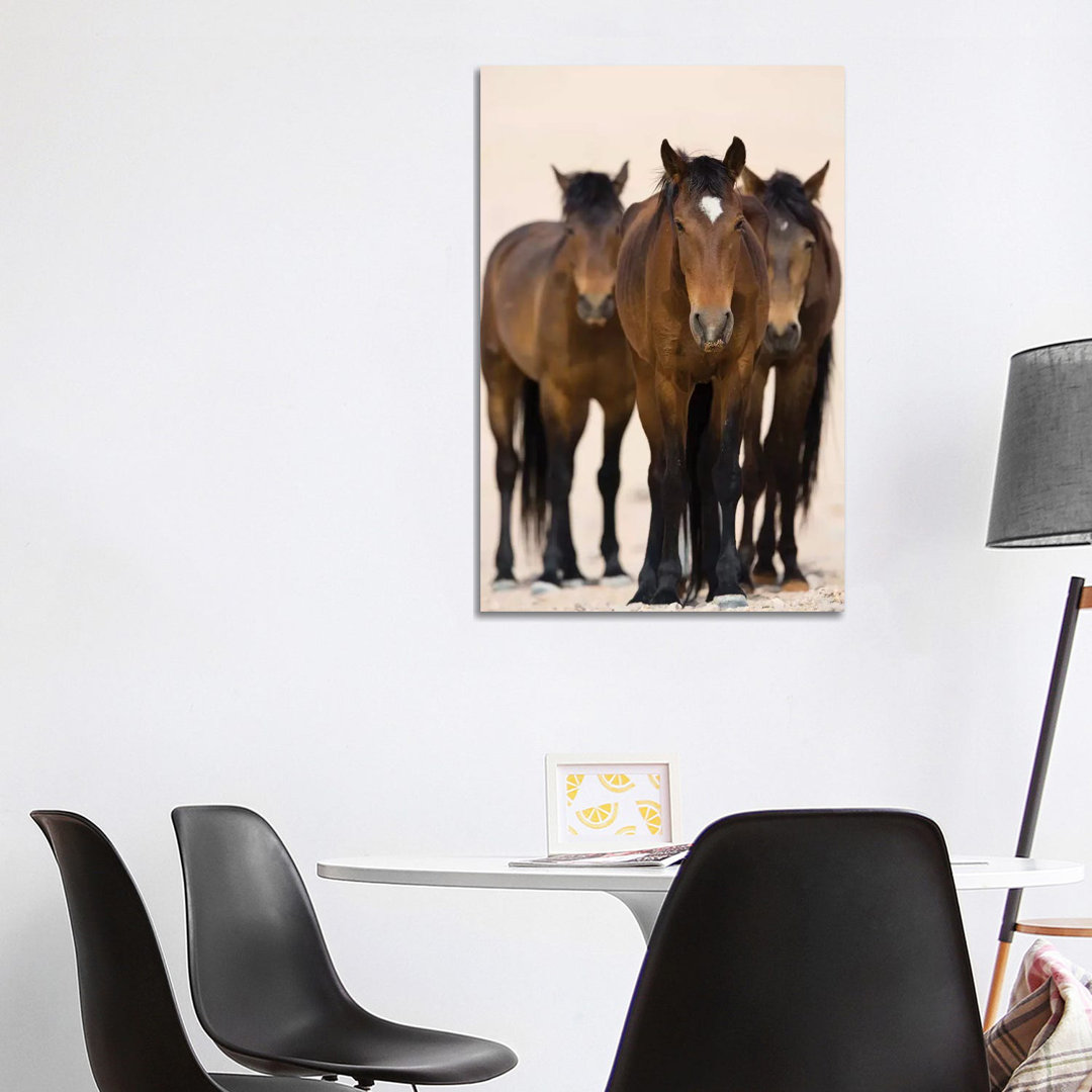 Namib Desert Horse Trio, Namib-Naukluft National Park, Namibia by Cyril Ruoso - Wrapped Canvas Print
