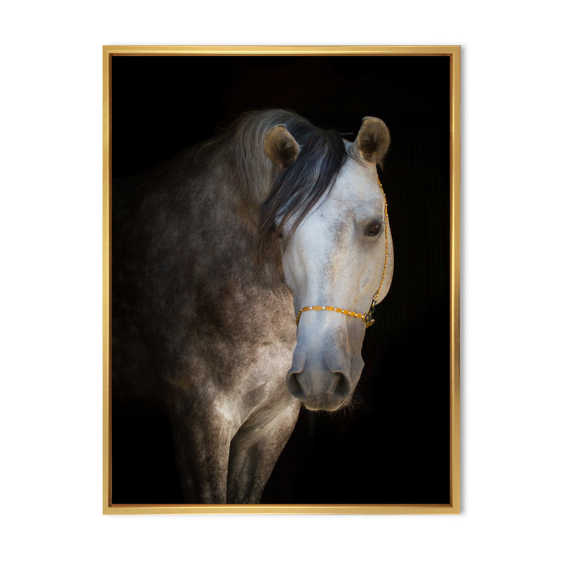 Portrait d'un cheval blanc - Photographie sur toile, H 20 po x l 12 po x P 1po, Cadre flottant doré