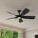 60'' Ceiling Fan with LED Lights