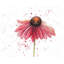 Ensemble de 4 napperons en polyester tressé rose marguerite