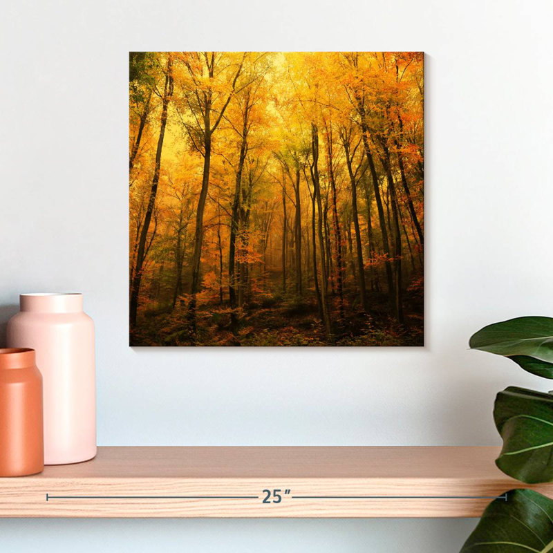 Forêt d'Alvord en automne, H 16 po x l 16 po