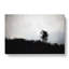 Silhouette Of A Wolf In Abstract - Wrapped Canvas Print-55340718