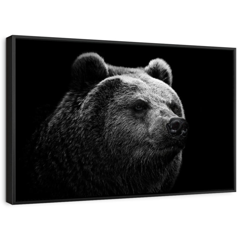 Ours noir et blanc, reproduction sur toile, H 17 po x l 25 po