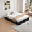 Schernik Upholstered  4 Drawers Storage Platform Bed-840761314-840761313
