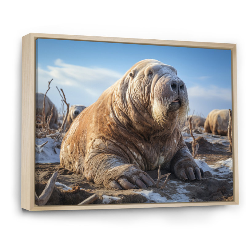 Morse toundra très grand - Reproduction d'art mural animaux, Cadre naturel flottant, H 30 po x l 40 po x P 1,5 po