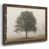 Noyer