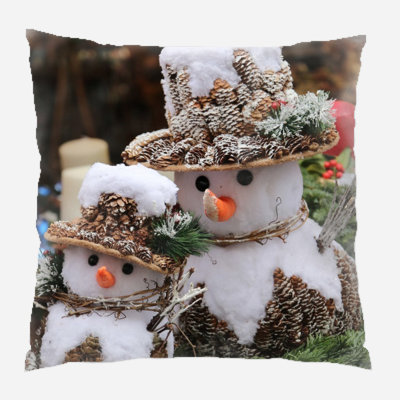 Canvas Outdoor Reversible Throw Pillow