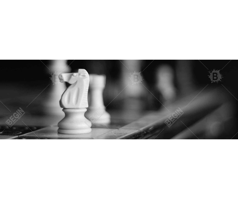 Reproduction d'échecs monochromes sur toile, H 20 po x l 60 po