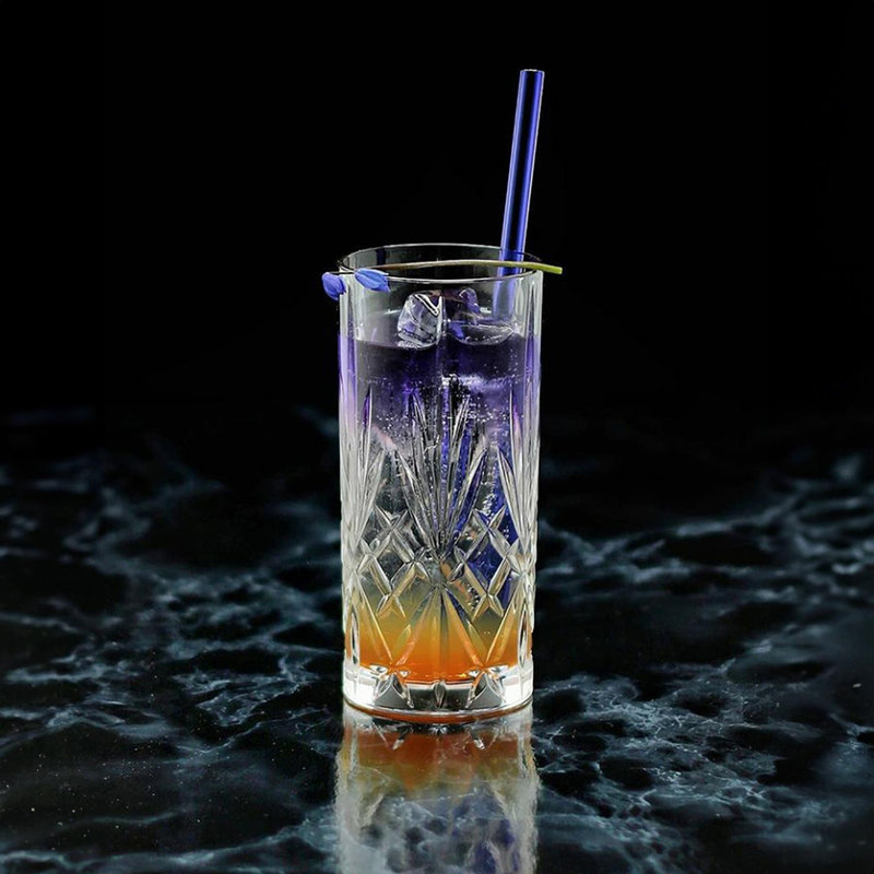 RCR Melodia Glass Highball Glass Glassware