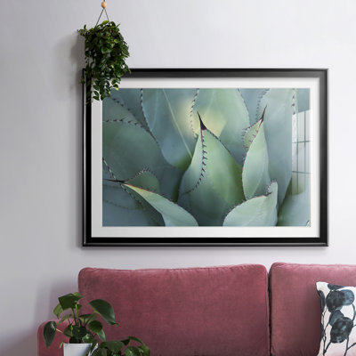 " Blue Agave I "