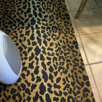 Leopard Micro Hooked Wool Rug by Dash and Alpert Rug 2x3