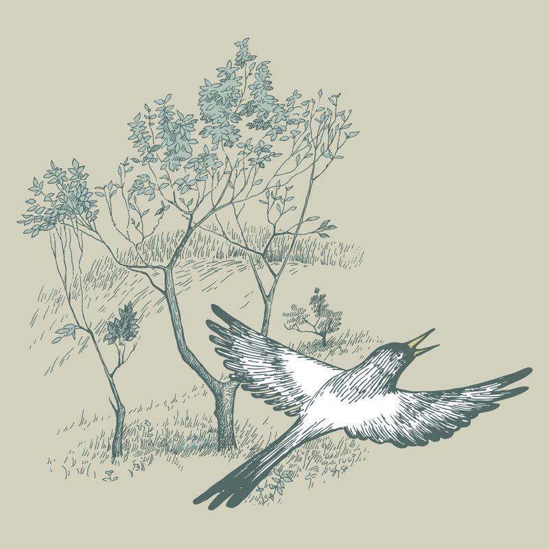 Flying Magpies by Publiy - Wrapped Canvas Print, 51cm H x 51cm W