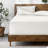 Extra Deep Microfiber Fitted Sheet-2094476203-2029679313