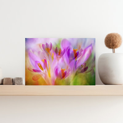 Soft Spring Crocus Abstract Colorful Delicate Nature Spring Wall Art