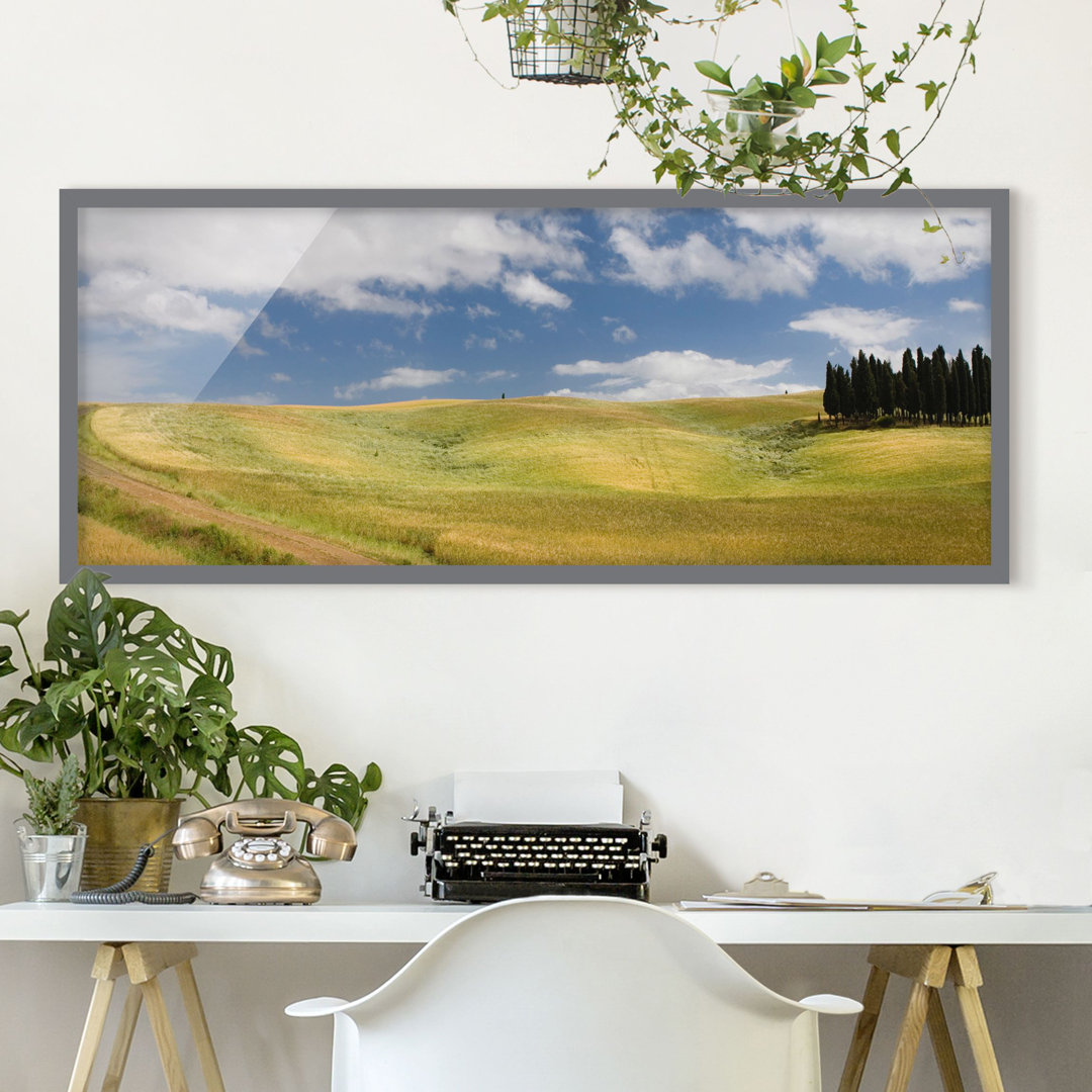 Gerahmter Grafikdruck Cypresses in Tuscany