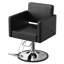 Fauteuils de coiffeur pour coiffeur, noir-370897465